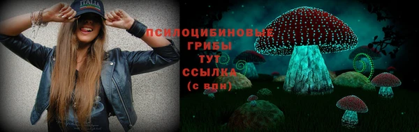 MESCALINE Гусь-Хрустальный