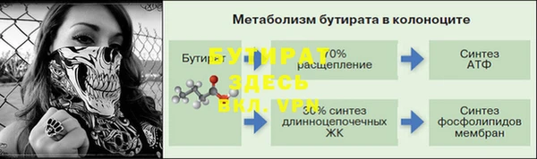 apvp Гусиноозёрск