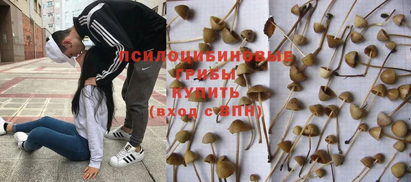 apvp Гусиноозёрск