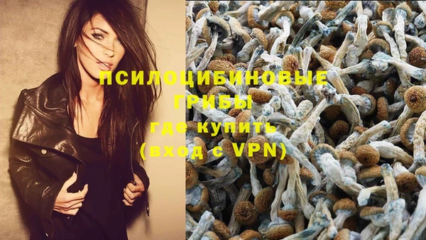apvp Гусиноозёрск